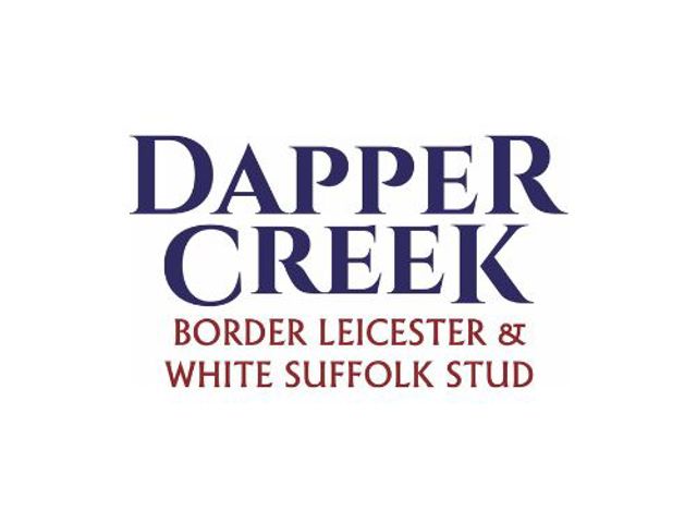Dapper Creek Border Leicester & White Suffolk Sale